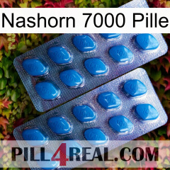 Rhino 7000 Pill viagra2